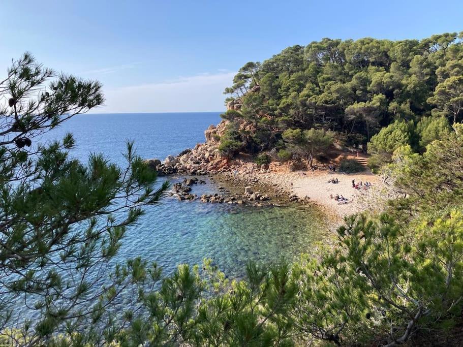 Bandol Roc Beach Vue Mer Grand T3 Face A La Plage Avec Parking Kültér fotó